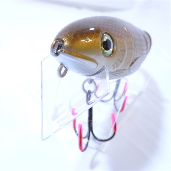 ＳＵ×ＲＡＧＯＢＡＩＴＳ Ｄ３